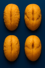 four Sea urchin roe (uni) on Blue Background	