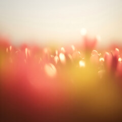 Soft Blur Background with Multiple Colors | Gradient Abstract Wallpaper Design for Modern Aesthetic
