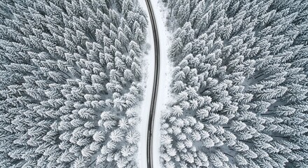 Breathtaking aerial view of a winding road through a snow-covered pine forest, evoking tranquility and adventure