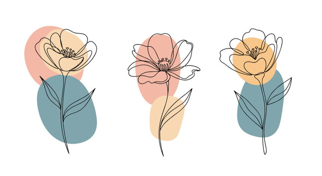 Minimalist line art of three abstract flowers with soft pastel-colored shapes in the background.