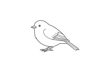 A simple line drawing of a small bird with a round body and detailed feathers
