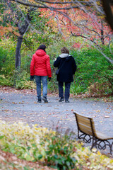 Vue arrière de filles marchant dans un parc automnal, Québec, Canada