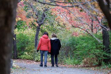 Vue arrière de filles marchant dans un parc automnal, Québec, Canada