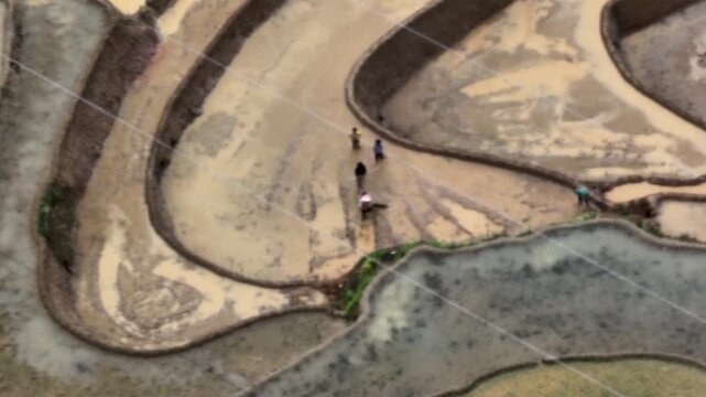 Hmong farmers prepare their fields and plant rice on terraced fields in Mu Cang Chai, Yen Bai. Photo taken in Yen Bai on June 22, 2025.	