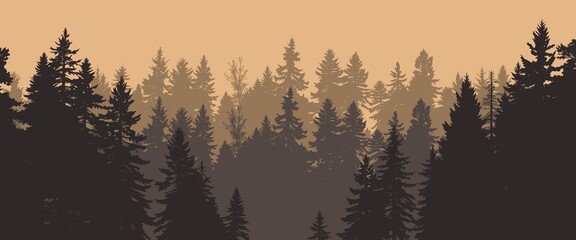 a hazy silhouette of evergreen trees in a dense forest at dusk