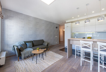Modern Home Living Room and Kitchen Interior. Luxurious Stylish Modern Apartment.