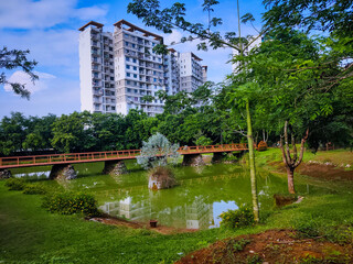 selective focus picture of a pond in the park
