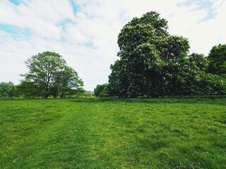 Fototapeta premium Scape of Cotswolds in England