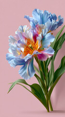 Colorful tulip flower with ruffled petals and green leaves on pink background, vibrant and elegant floral design with soft texture