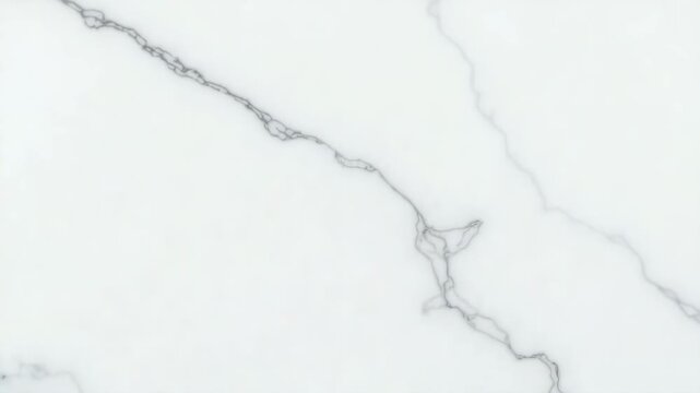 A close-up view of white marble with gray veining. The surface is smooth and polished, showcasing natural patterns and textures.