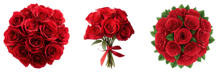 Set of Beautiful arrangement of red roses in various forms. isolated on a transparent background.