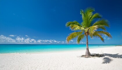 A Solitary Palm Tree Stands On A Pristine White Sand Beach Turquoise Water Lapping Gently At The Shore Under A Vibrant Blue Sky A Quintessential Deserted Island Scene Landscape Calm Solitude