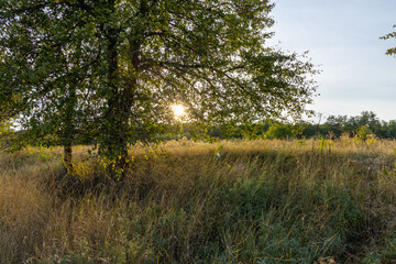 A spectacular sunset in the countryside