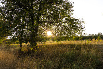 A spectacular sunset in the countryside