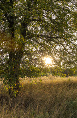 A spectacular sunset in the countryside