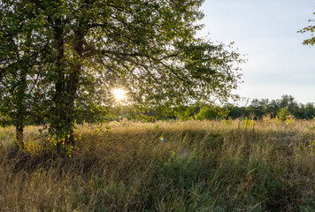 A spectacular sunset in the countryside