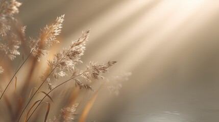 Sunlight streams through the reeds bathed in a soft golden glow ethereal tranquil scene with the sun shining