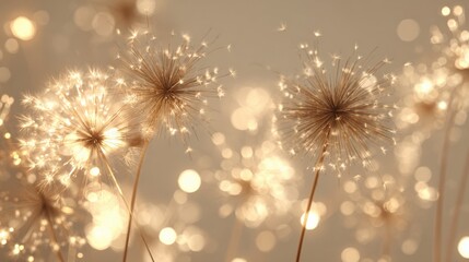 Dandelion Seed Heads with Dreamy Bokeh Lights, Perfect for Springtime and Gentle Wishes Concepts