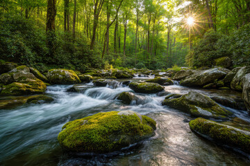 Obraz premium Serene forest stream flowing over moss-covered rocks with sunlight filtering through lush green trees on a peaceful spring morning in nature wilderness landscape