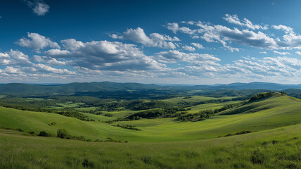 russia summer landscape - green fileds, the blue sky and white c