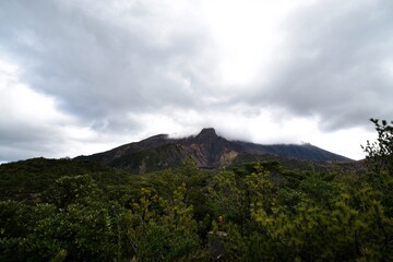 An imposing view of the active Sakurajima volcano in Kagoshima, Japan, with smoke and clouds obscuring its peak, framed by a dense green forest in the foreground under an overcast sky.