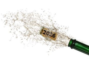 Silvester 604