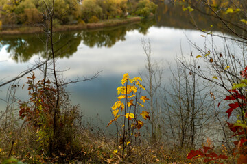 Autumn trees with yellow and red leaves on a hill above calm river reflecting forest and cloudy sky. Rural landscape photography. Autumn season and nature concept.