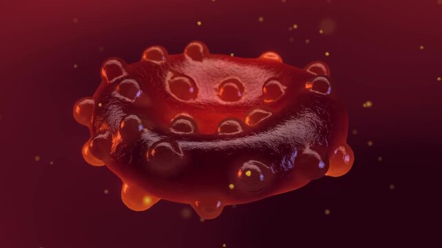 Malaria parasite infecting a blood cell. Plasmodium Merozoites invading and destroying red blood cells. Malaria prevention through vaccines