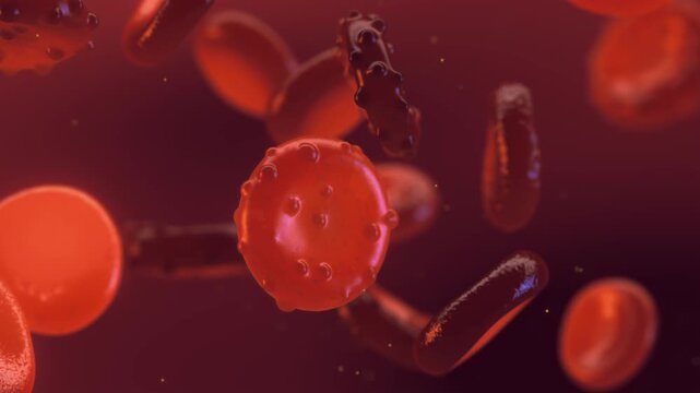 Malaria is a parasitic disease caused by genus Plasmodium. Merozoites, the invasive blood stage of Plasmodium Falciparum parasite. Malaria research and development