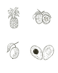 Set of fruits and berries