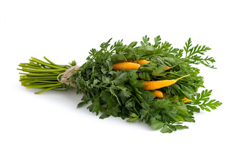 Bundle of fresh green celery stalks with leaves isolated on white background.