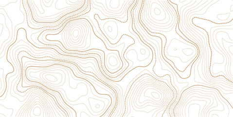 Topographic map background. Geographic line map with elevation assignments. Contour background geographic grid. Vector illustration. transparent background
