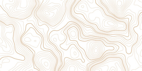 Topographic map background. Geographic line map with elevation assignments. Contour background geographic grid. Vector illustration. transparent background