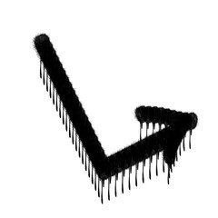 isolated macro image of a black and white