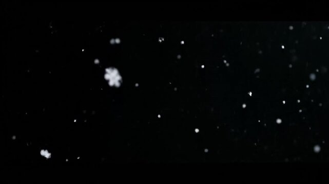 Falling snowflakes against a black background, showcasing intricate patterns