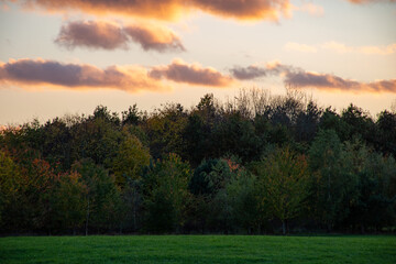 Landscape with a beautiful sunset and trees in autumn color at Rushcliffe Country Park in Nottingham, UK.