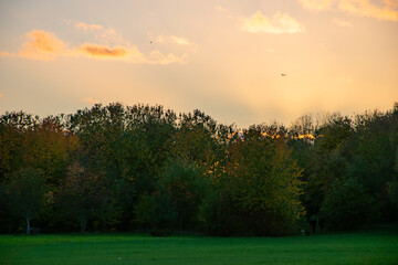 Landscape with a beautiful sunset and trees in autumn color at Rushcliffe Country Park in Nottingham, UK.