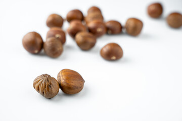 Close-up of fresh brown chestnuts isolated on white background, showing natural texture and detail. Ideal for healthy food, nut ingredient, autumn harvest, and organic nutrition concepts.
