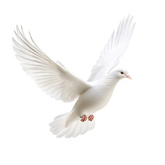 White dove ornament wings spread transparent background symbolic Christmas tree accessory