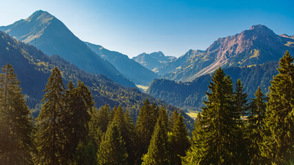 Alpine summer view at Mount Diedamskopf, Schoppernau, Bregenz, Vorarlberg, Austria