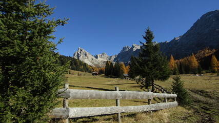 Scenic autumn landscape in Val San Nicolò, Val di Fassa, Dolomites, Trentino, Italy. Vibrant golden larch trees, colorful mountains and peaceful alpine valley under warm autumn light © Alexandra