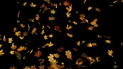 Falling Maple Leaves. Freeze Motion of Autumn Leaves Isolated on Black Background. Ideal for Seasonal Design, Background Overlays, and Creative Visual Projects.