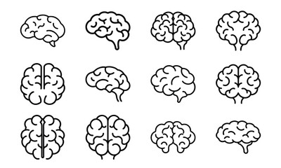 Education and science outline icon set with brain, DNA, laboratory flask, laptop, stopwatch, school bus, quill pen, and bell symbol isolated on white background