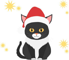 Cute black cat wearing red santa hat sitting