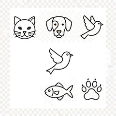 Collection of simple line art icons representing various pets and animals.