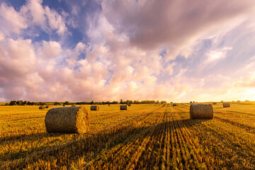 Haystack bale on a golden field landscape at sunset. Rural agricultural scene with bales of hay. Countryside harvest concept.