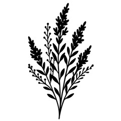 Minimalist black silhouette of a delicate sprig with small leaves and buds on a white background