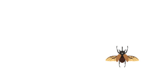 Horn beetle template background. Rhinoceros beetle banner. Copy space and negative space