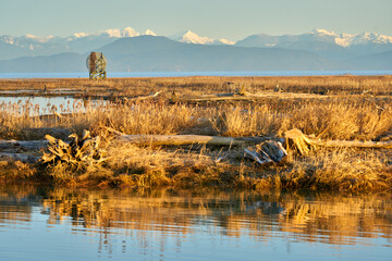 West Dyke Radar Reflector Richmond Marsh. A radar reflector off the West Dyke Trail in Richmond, British Columbia, Canada.
