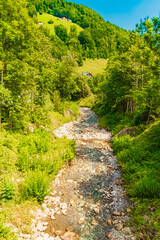 Alpine summer view near Mellau, Bregenz, Vorarlberg, Austria